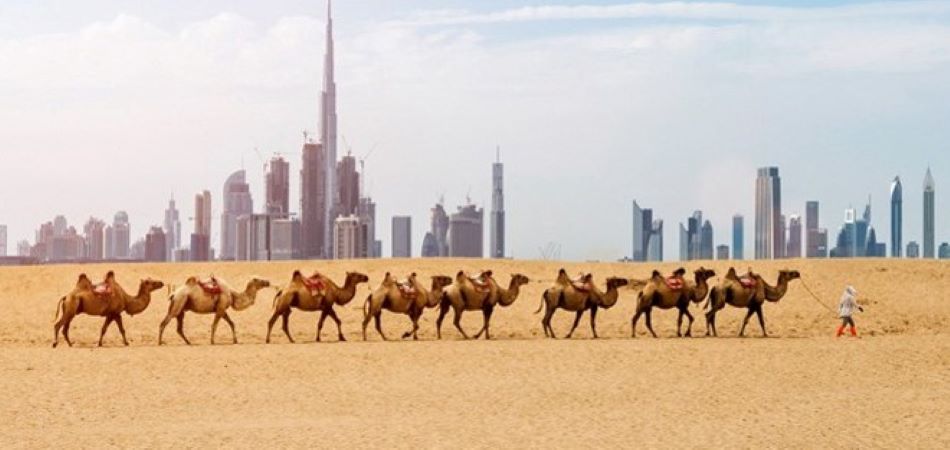 Dubai Hakkında....